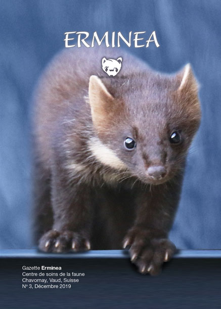 erminea-gazette-no3-d-cembre-2019.jpg