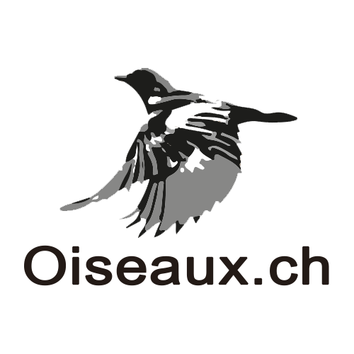 Almanach des migrations d'oiseaux
