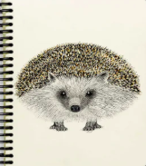 Image collection
