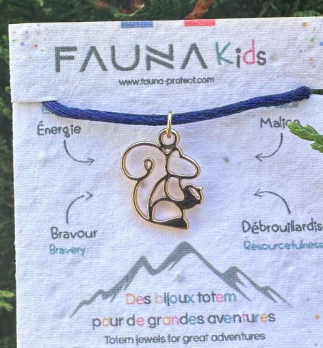 Image collection